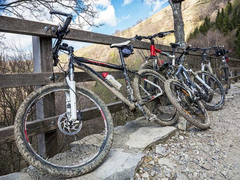 Qual’è la Differenza tra bici da Trekking e Mountain Bike?